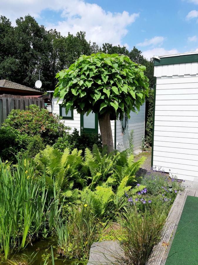 Zonnig Zomerhuis Krachtighuizen Bagian luar foto